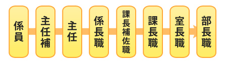 昇任についてフロー図：係員→主任補→主任→係長職→課長補佐職→課長職→室長職→部長職