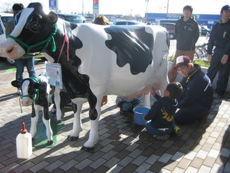 写真：収穫祭搾乳体験