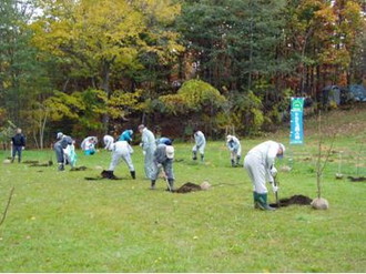 写真：植樹会に参加支援（更別村）