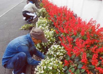 写真：花壇