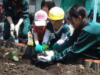 写真：三条高校との交流