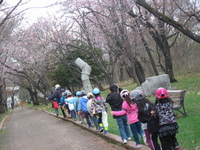 写真：公園を散歩