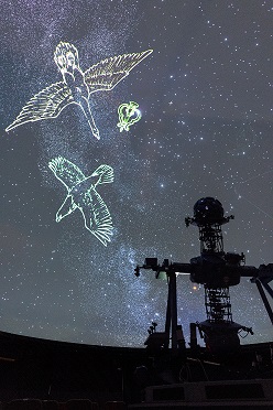 プラネタリウムと夏の大三角