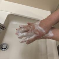 写真：正しい手洗いの仕方12