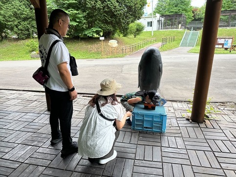 ミステリークイズにて、さわるヒントの箱を確認しているところ