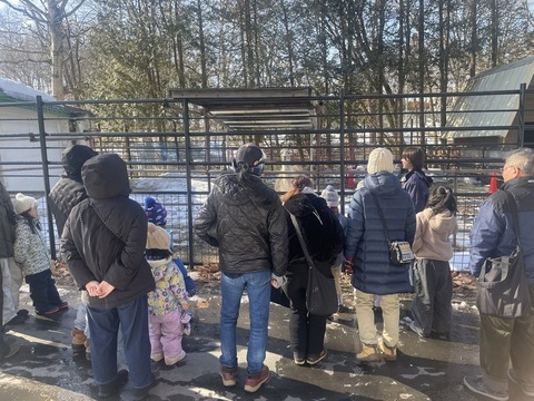 ラマのガイドの様子