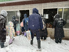 雪の中カンガルー舎を覗く様子