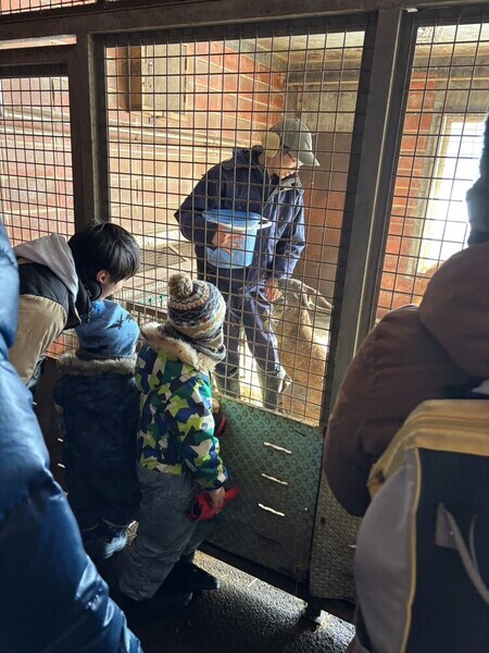 ラマのガイドの様子