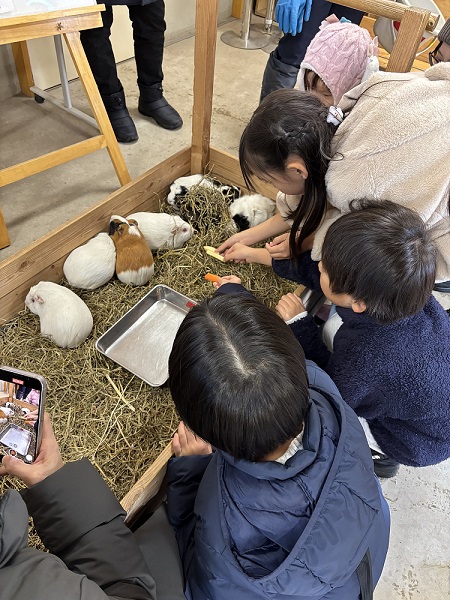 モルモットのガイドの様子
