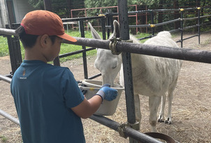 写真：小学生の1日飼育係