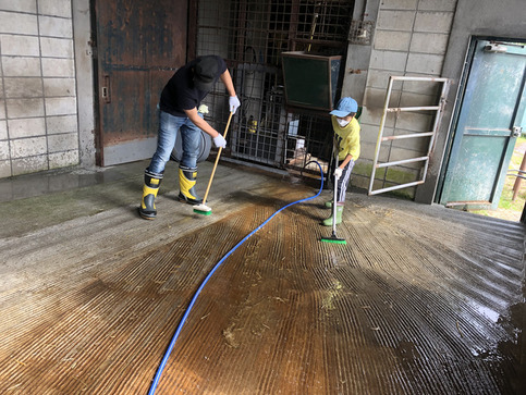 写真：親子飼育体験でシマウマ舎を掃除している様子