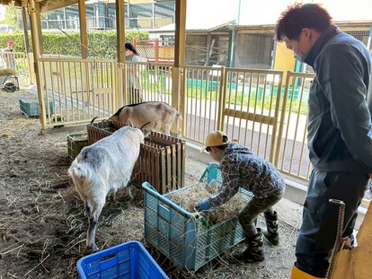 写真：親子飼育体験でやぎに給餌をしている様子