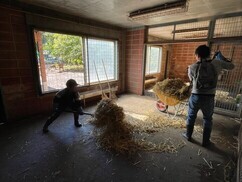 写真：親子で飼育体験