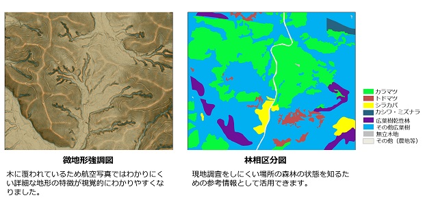 微地形強調図と林相区分図