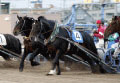 写真：ばんえい競馬2