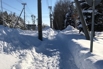 降雪量20センチ以上