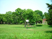写真:柏林台公園6
