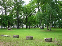 写真:柏林台公園8