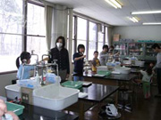 写真：親子科学実験教室の様子