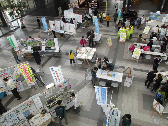 写真：環境交流会2025の様子