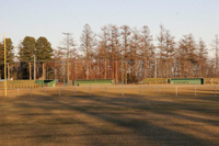 豊頃町野球場の写真