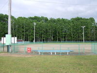 運動公園ソフトボール球場の写真