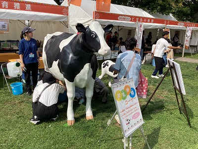 写真:搾乳体験の様子2