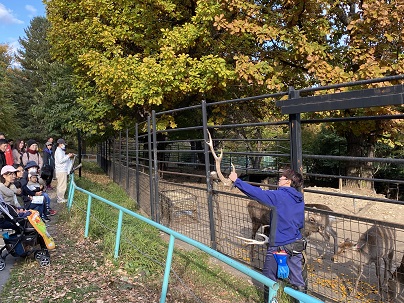 写真：エゾシカ給餌の様子