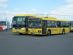 写真：バス2台