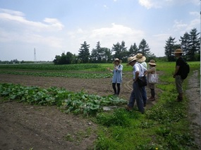 写真：農作業の様子1
