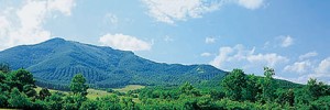 写真：十勝の山と緑の風景