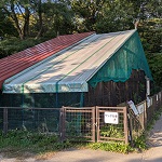 ワシタカ舎鳥インフルエンザ対策