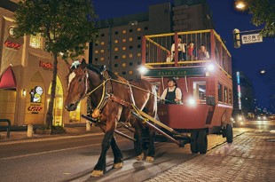 写真：馬車BAR