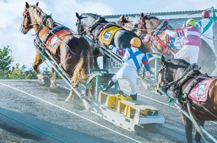 写真：ばんえい競馬