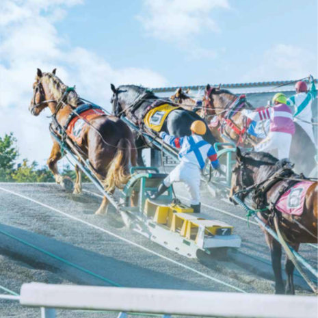 写真：ばん馬