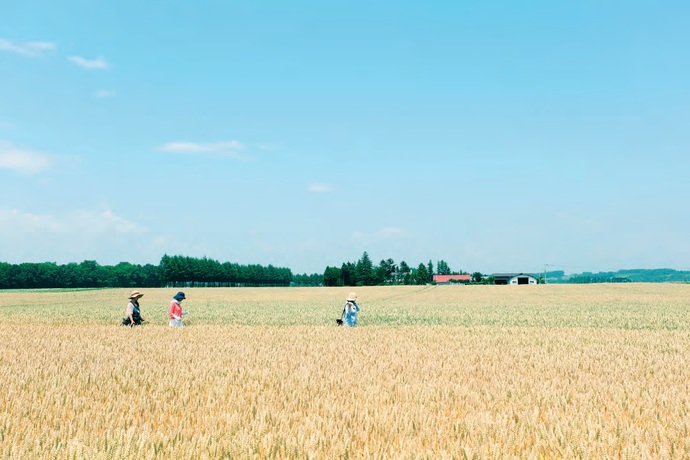 写真：農場