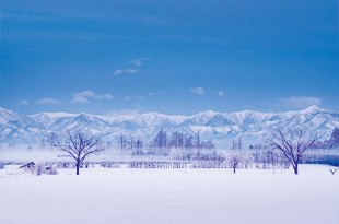 写真：帯広の雪原