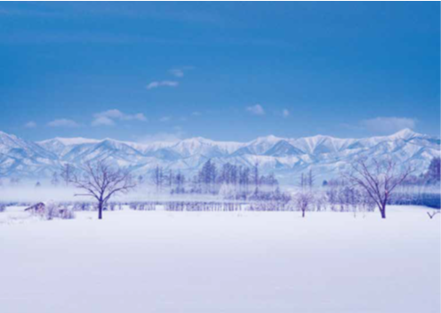 写真：農村風景