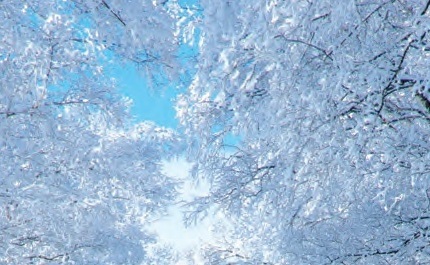 写真：雪景色