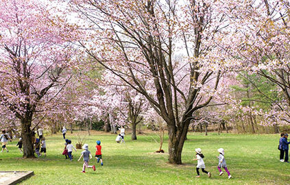 写真：春、桜