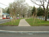 車道と、歩行者用の空間が分離された写真。奥に向かって2本の車道が伸びており、2本の間に歩道が整備されている。車道と歩道の間は芝生や樹木があり、物理的な分断が図られている。