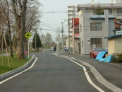 車道自体がぐねぐねと折れ曲がって整備されている写真。