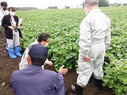 生産者の加藤氏に生育状況の説明を市長が受けている様子の写真