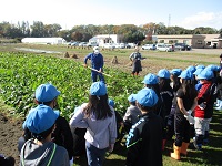 写真：明星・若葉小学校での授業の様子1