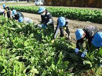 写真：明星・若葉小学校での授業の様子2