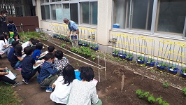 写真：西小学校での授業の様子2