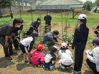 写真：広野小学校での授業の様子2