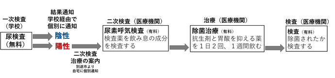 ピロリ菌検査の流れ