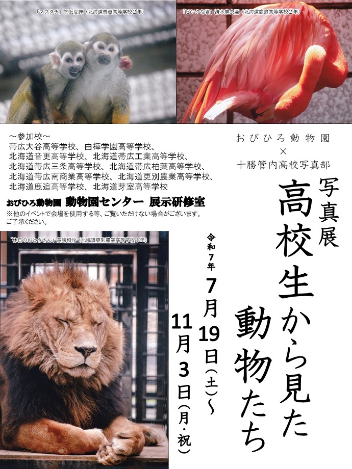 写真：写真展のポスター。