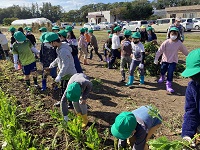 写真：明星・若葉小学校での授業の様子2